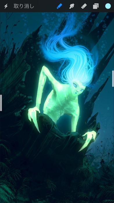 Procreate Pocket screenshot1