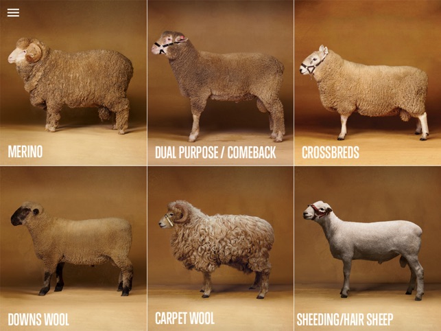 Sheep Breed Compendium by AWEX.(圖1)-速報App