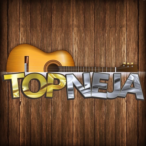 Topneja icon