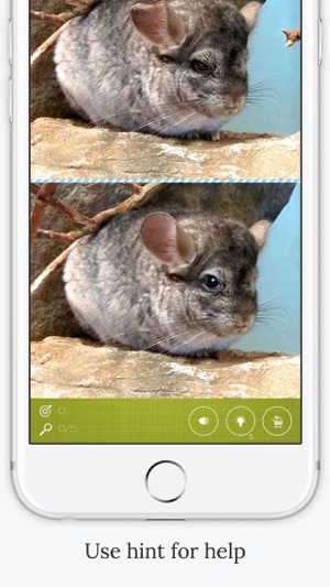 Find the Difference in Chinchilla(圖4)-速報App