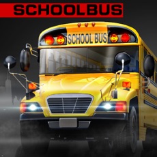 Activities of High School Bus Driver 2