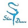 Shin Dance Academy