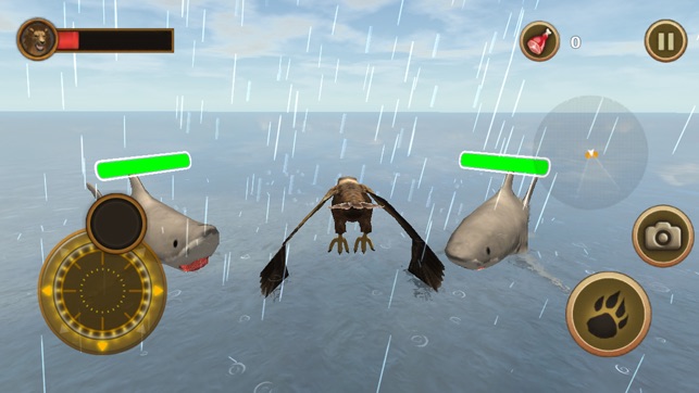 Sea Eagle Simulator(圖2)-速報App