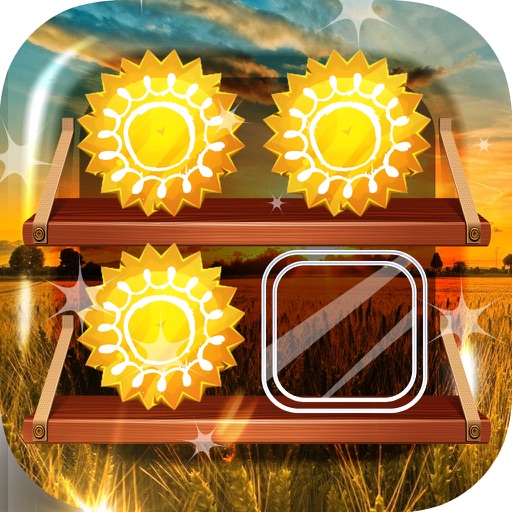 Shelf Home Screen Maker Sunny & Sunset Wallpapers