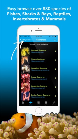 Coral Sea Fish Guide - fishes of the Great Barrier Reef, Pap(圖1)-速報App