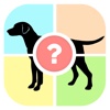 Dog Quiz - Guess the dog photo word famous Dogs, picture puzzle trivia games