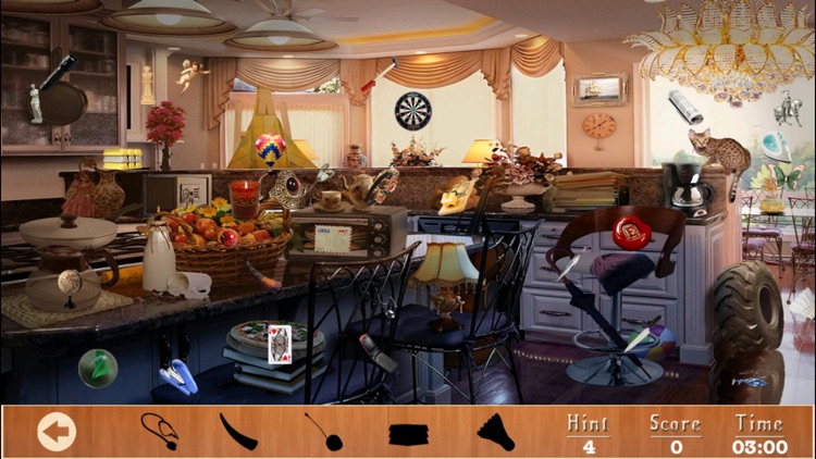 Celebrity Kitchen Hidden Objects screenshot-4