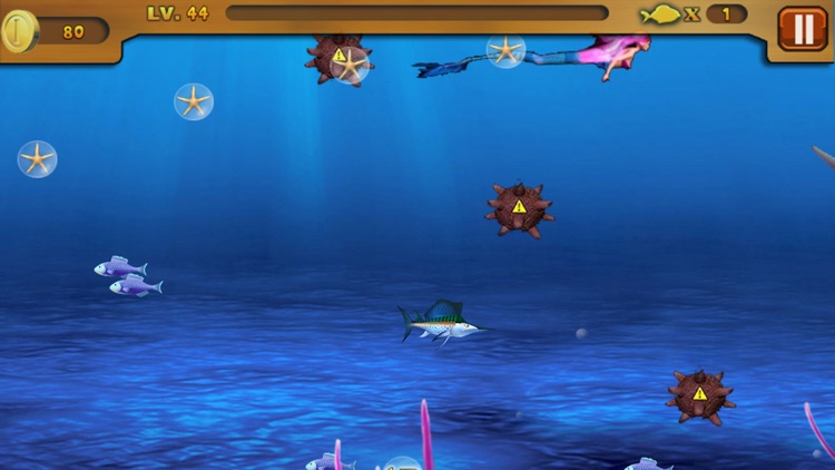 Feeding Frenzy: Shark Island