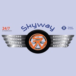 Skyway Minicab