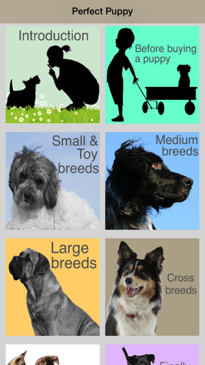 Perfect Puppy - find the right breed of dog.(圖1)-速報App