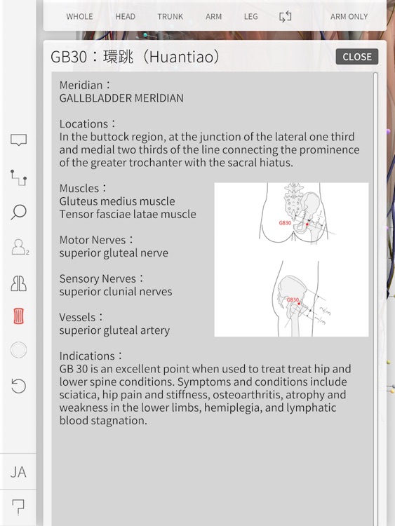 3D Acupoint screenshot-4