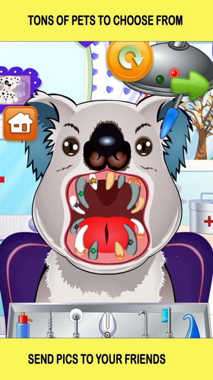 Pet Vet Dentist Doctor - Games for Kids Free