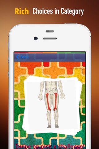 Memorize Human Anatomy Bones by Sliding Tiles Puzzle: Learning Becomes Fun screenshot 2