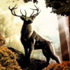 Exotic Deer Hunting 3D - Hunt the Stags in Beautiful Forest to become The Best Hunter of Season