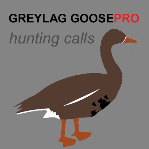 REAL Greylag Goose Hunting Calls -- Greylag Goose CALLS & Greylag Goose Sounds! (ad free) BLUETOOTH COMPATIBLE icon