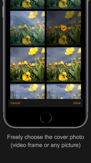 Live Mix for Live Photo - edit, convert and mix(圖4)-速報App