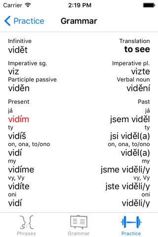 Czech Language Guide screenshot 3