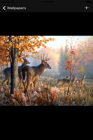 Free Deer Wallpapers screenshot 2