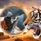 Tiger Photo Frame - Great and Fantastic Frames for your photo