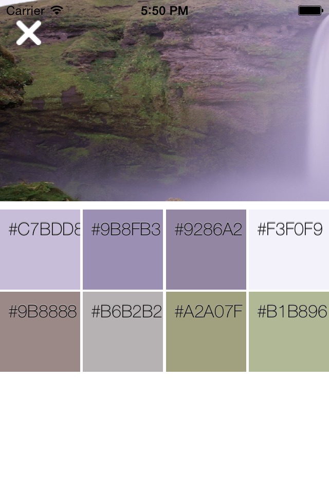 Palette - Colors From Any Image screenshot 3