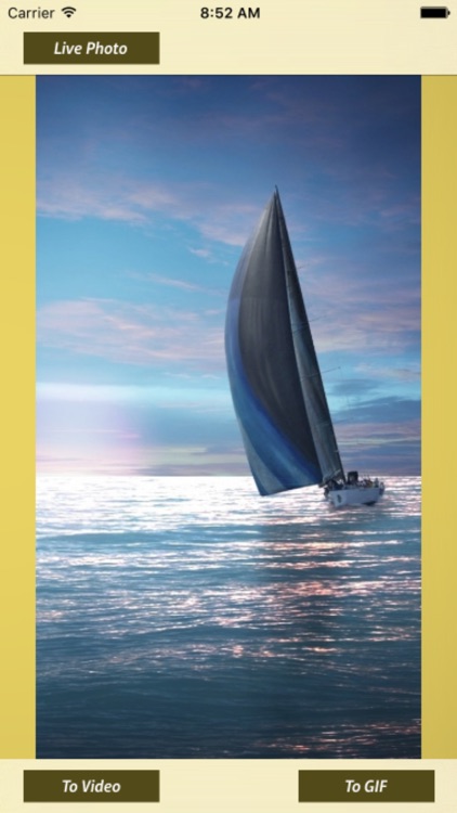 Live Photo Exporter - To GIF and Video screenshot-3