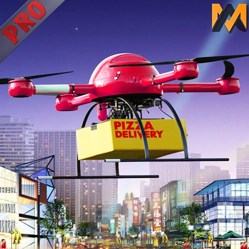 VR-Drone Pizza Delivery Pro Icon