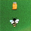 Bee vs Honey