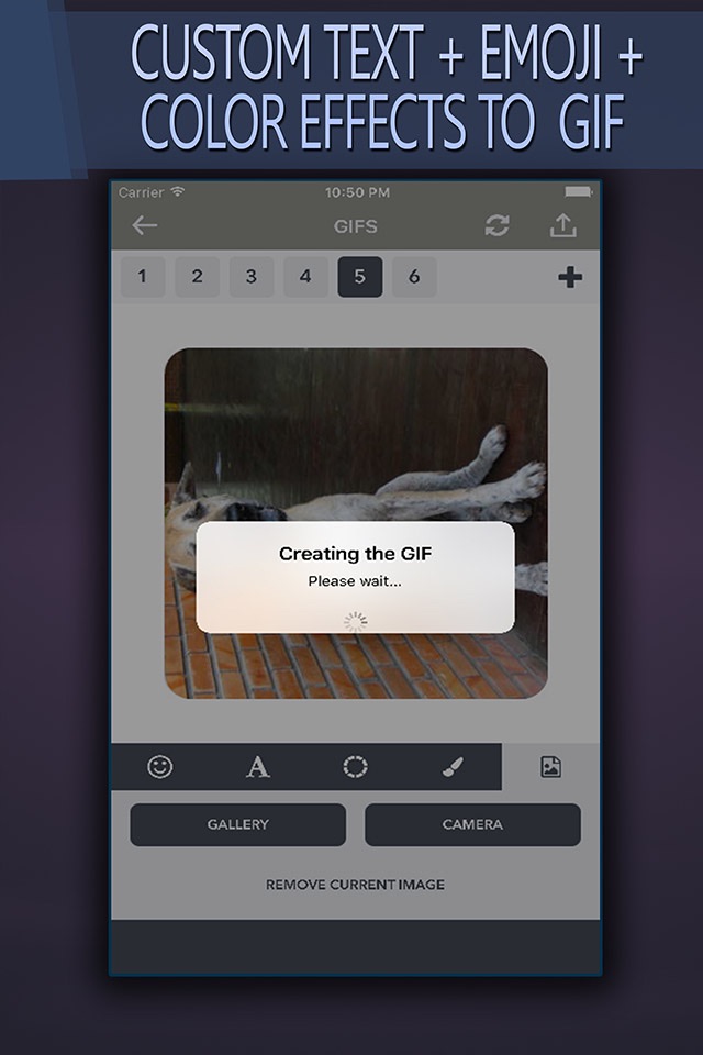 Gif Editor - Photo + Text + Emoji screenshot 3