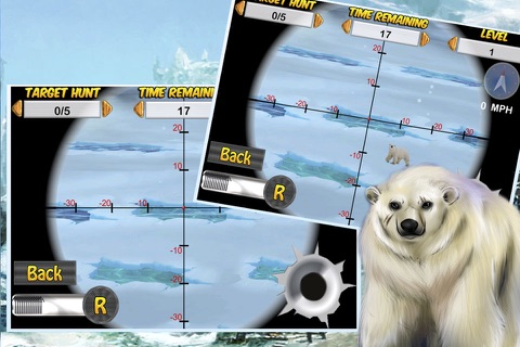 Wild Snow Bear Sniper Pro - 3d Animal Hunting screenshot 4