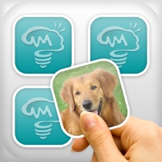 Activities of Memory cards free - Brain challenge