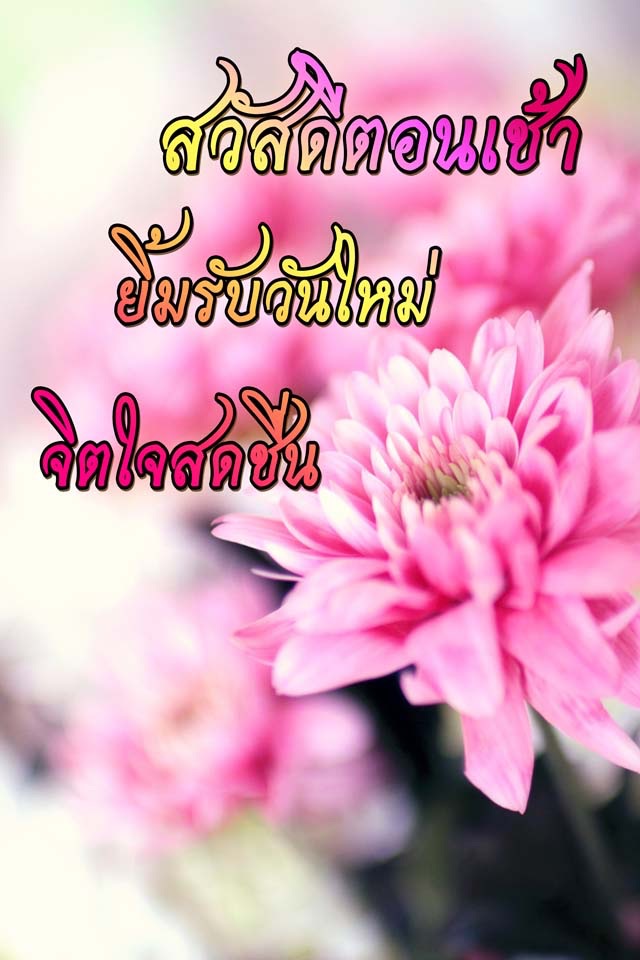 คำคมสวัสดี สวัสดีตอนเช้าฟรีตามวัน screenshot 3