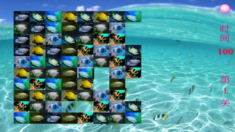 Tropical Fish Puzzle - A fun & addictive puzzle matching game