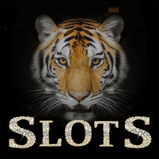 Big cats slots -free lion slots Icon