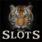 Big cats slots -free lion slots
