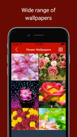 Game screenshot Background Wallpapers: Get pictures & snaps of Love, Romance and heart mod apk