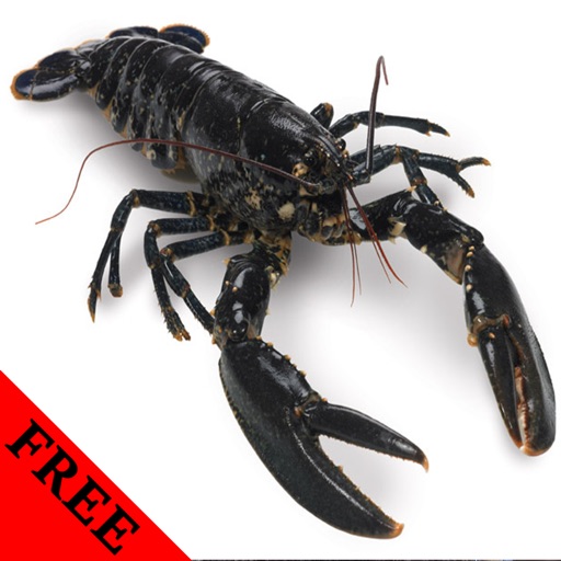 Lobster Photos & Video Galleries FREE icon