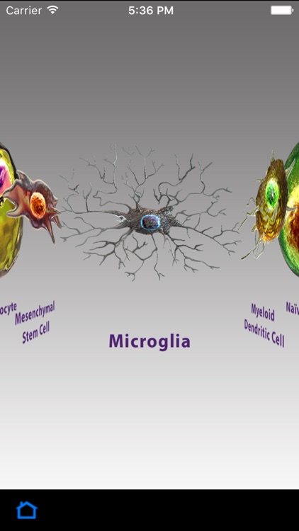 BioLegend Cell Markers