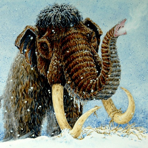 Icy Quiz for the Ice Age Movies - Cool Trivia Game for the funny films Icon