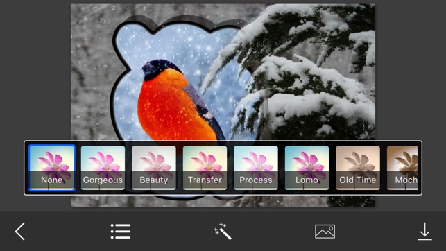 Snow Photo Frame - Art Photography & mega Frames(圖3)-速報App