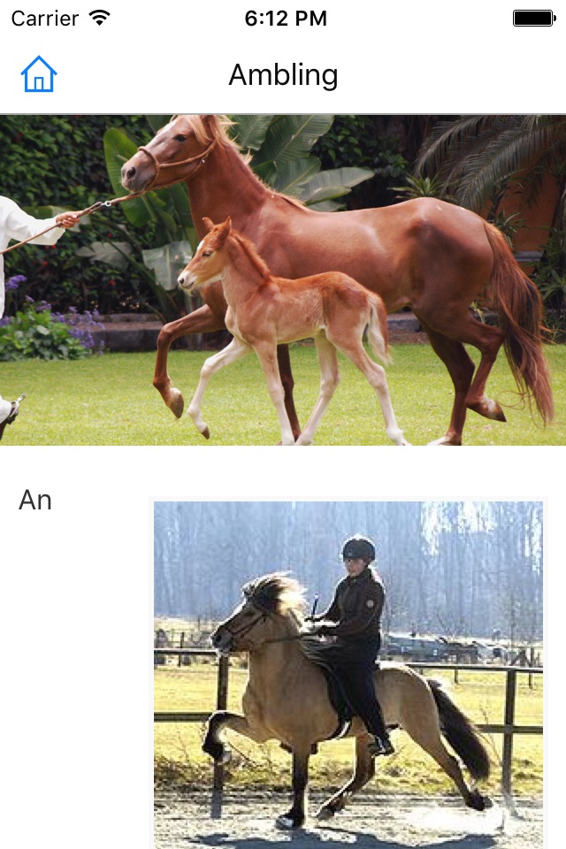 CHI Encyclopedia of Horses screenshot 3