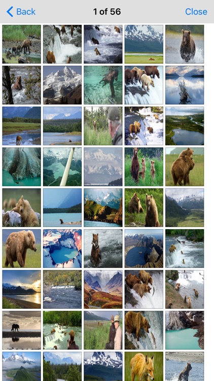 Massachusetts State Campgrounds & National Parks Guide screenshot-4