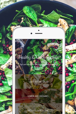 Healthy & Quick Recipes screenshot 2