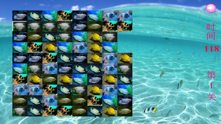 Tropical Fish Puzzle - A fun & addictive puzzle matching game screenshot-4