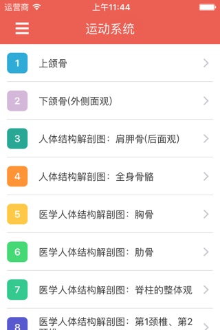 人体解剖图 - 全彩高清医学专业典籍 screenshot 3