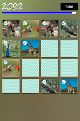 Match Animals - Find the Pair screenshot 3