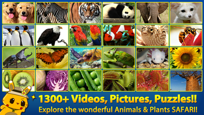 How to cancel & delete ABC SAFARI Animals & Plants - Video, Picture, Word, Puzzle for Kids from iphone & ipad 1