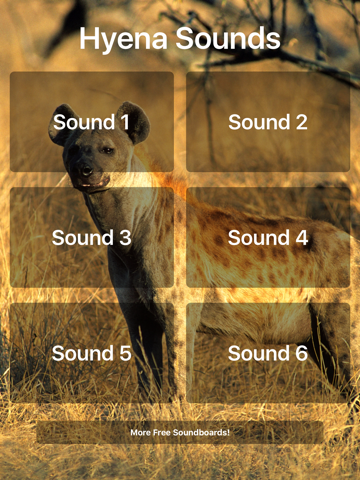 Hyena Sounds - náhled