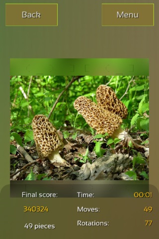 Mushrooms Puzzles screenshot 2