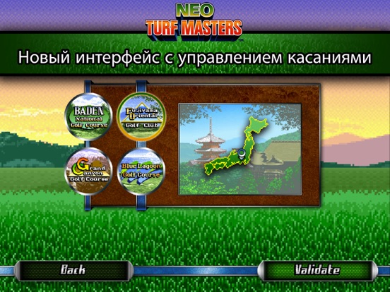NEO TURF MASTERS для iPad