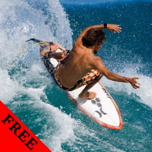 Surfing Photos & Videos FREE |  Amazing 367 Videos and 71 Photos | Watch and learn